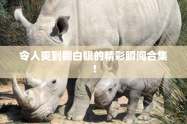 令人爽到翻白眼的精彩瞬间合集！