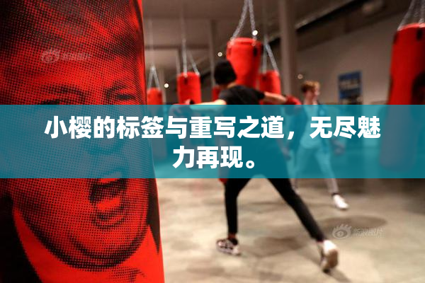小樱的标签与重写之道，无尽魅力再现。