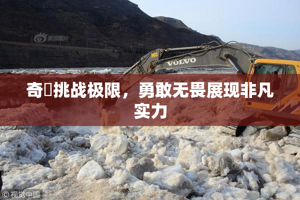奇犽挑战极限，勇敢无畏展现非凡实力