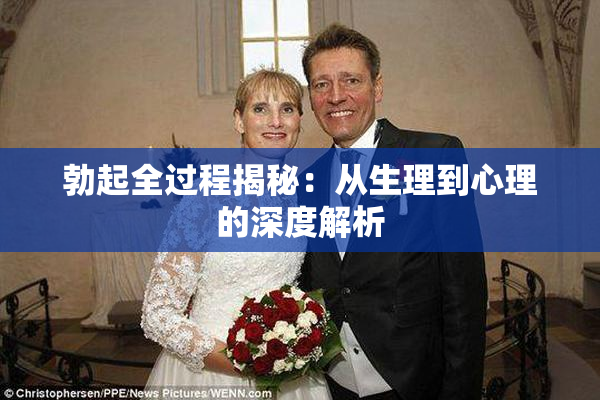 勃起全过程揭秘：从生理到心理的深度解析