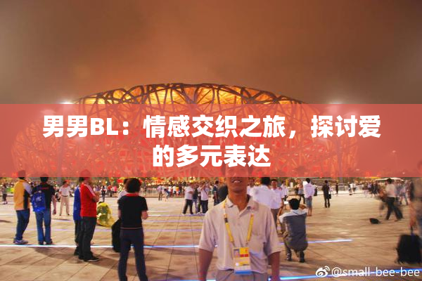 男男BL：情感交织之旅，探讨爱的多元表达