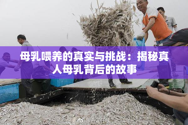 母乳喂养的真实与挑战：揭秘真人母乳背后的故事
