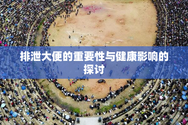 排泄大便的重要性与健康影响的探讨