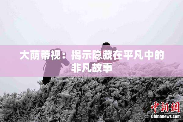 大荫蒂视：揭示隐藏在平凡中的非凡故事