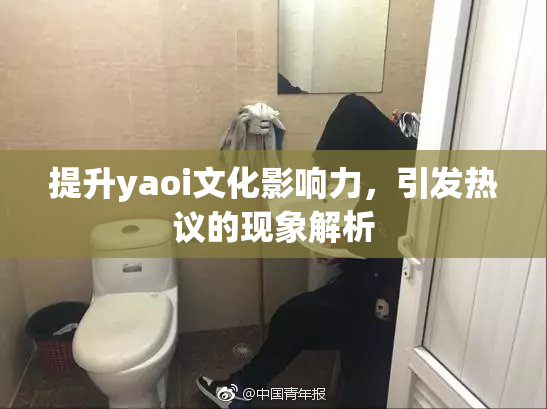 提升yaoi文化影响力，引发热议的现象解析