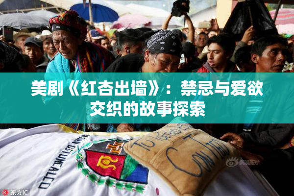 美剧《红杏出墙》：禁忌与爱欲交织的故事探索