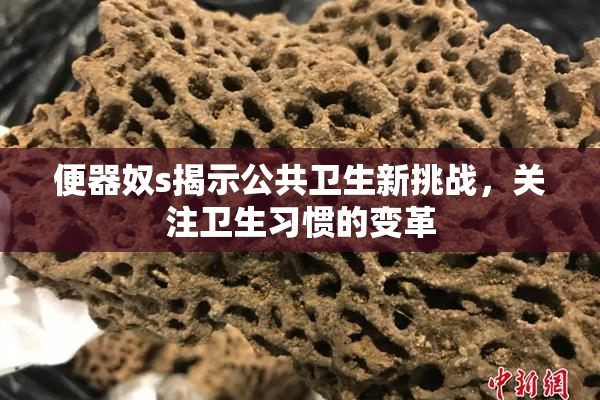 便器奴s揭示公共卫生新挑战，关注卫生习惯的变革