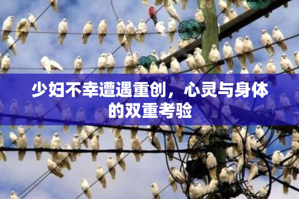 少妇不幸遭遇重创，心灵与身体的双重考验