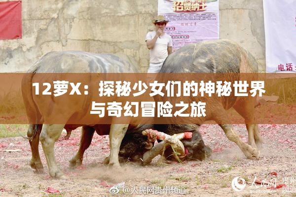 12萝X：探秘少女们的神秘世界与奇幻冒险之旅