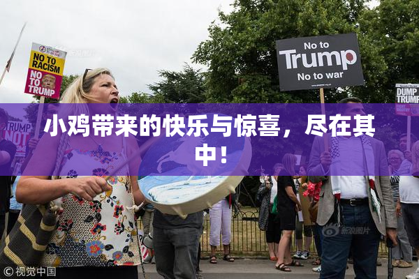 小鸡带来的快乐与惊喜，尽在其中！