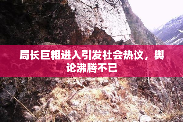 局长巨粗进入引发社会热议，舆论沸腾不已