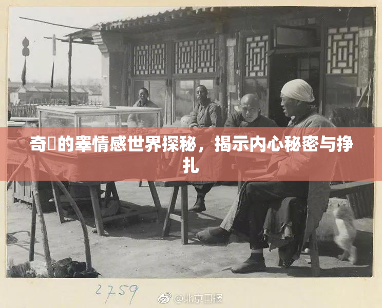 奇犽的睾情感世界探秘，揭示内心秘密与挣扎