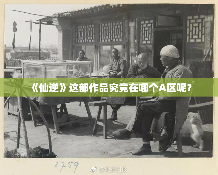 《仙逆》这部作品究竟在哪个A区呢？