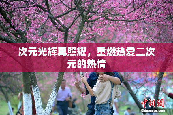 次元光辉再照耀，重燃热爱二次元的热情