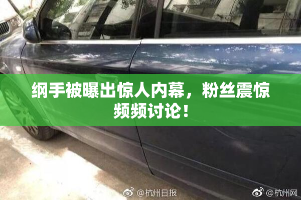 纲手被曝出惊人内幕，粉丝震惊频频讨论！