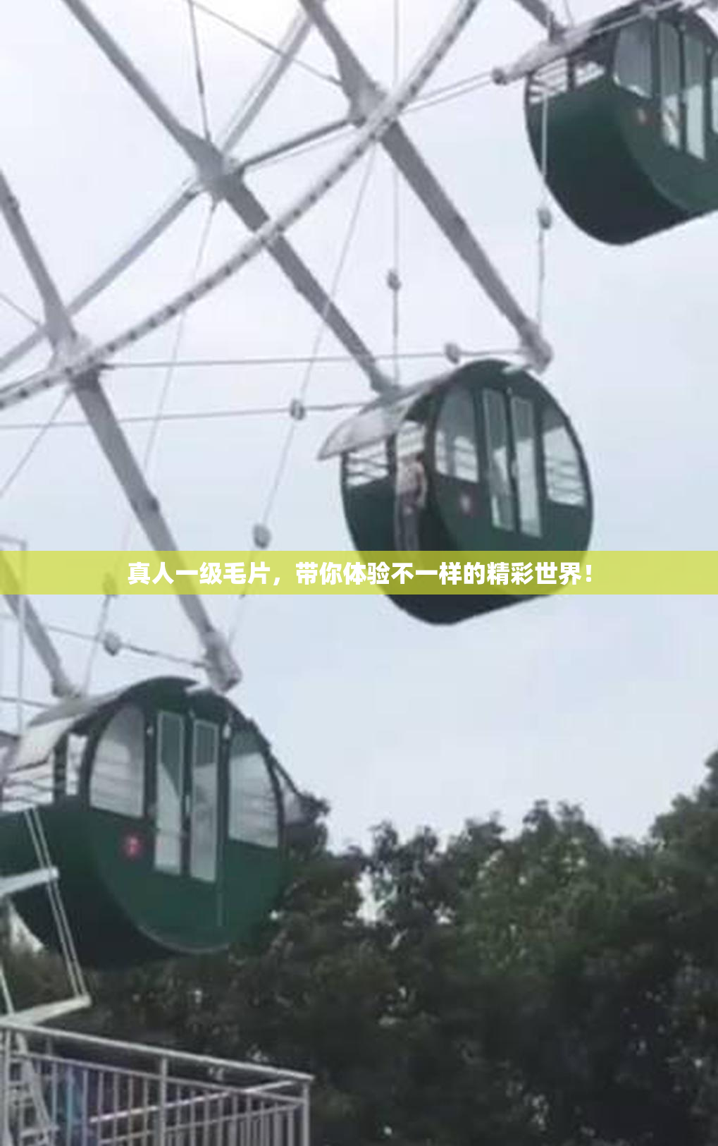 真人一级毛片，带你体验不一样的精彩世界！