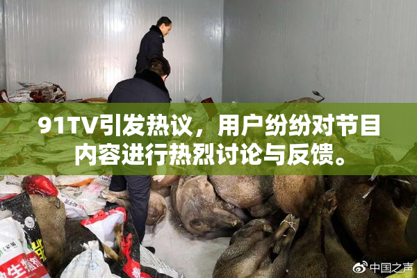 91TV引发热议，用户纷纷对节目内容进行热烈讨论与反馈。