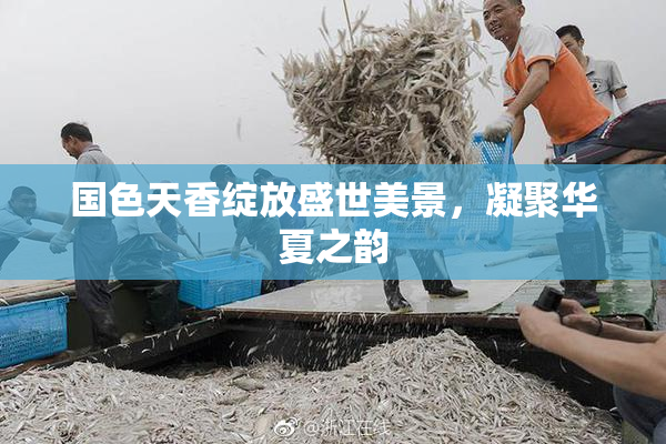 国色天香绽放盛世美景，凝聚华夏之韵