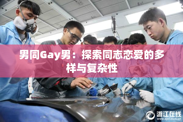 男同Gay男：探索同志恋爱的多样与复杂性