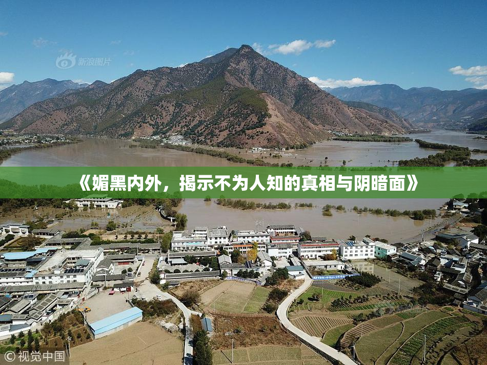 《媚黑内外，揭示不为人知的真相与阴暗面》