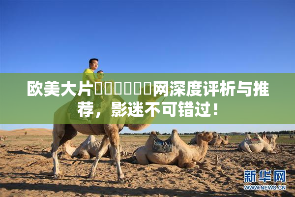 欧美大片❌‌❌‌❌‌网深度评析与推荐，影迷不可错过！