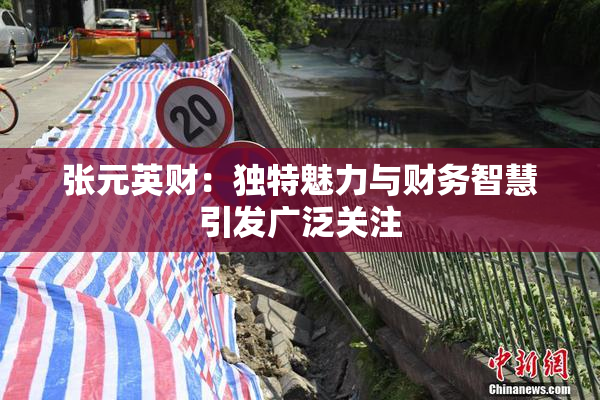 张元英财：独特魅力与财务智慧引发广泛关注