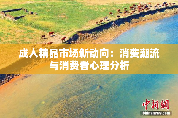 成人精品市场新动向：消费潮流与消费者心理分析
