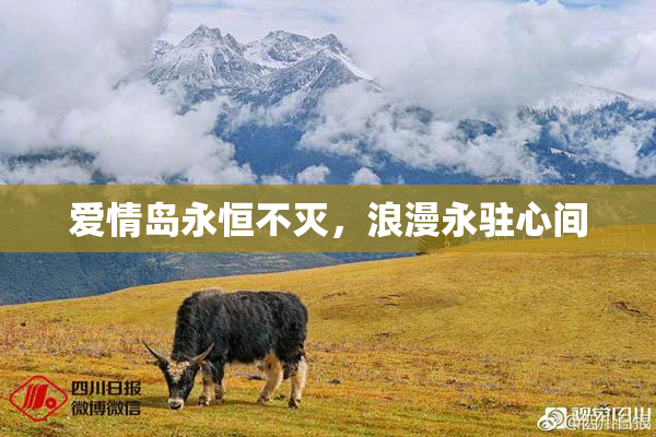 爱情岛永恒不灭，浪漫永驻心间