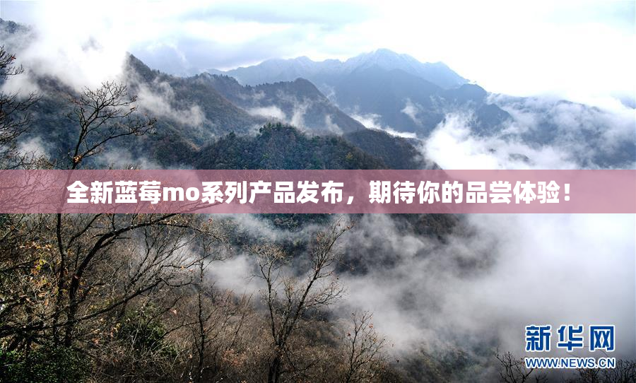 全新蓝莓mo系列产品发布，期待你的品尝体验！