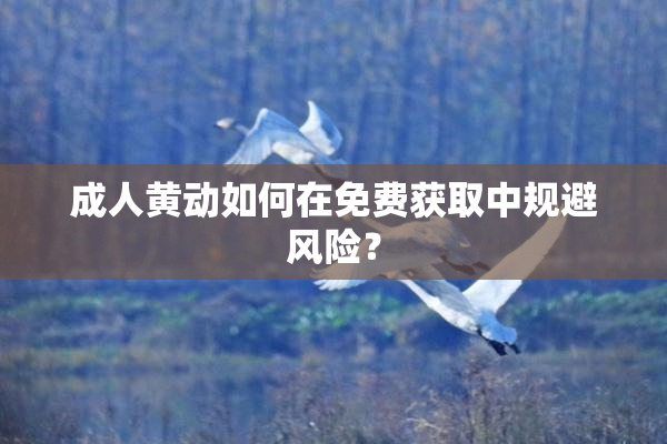 成人黄动如何在免费获取中规避风险？
