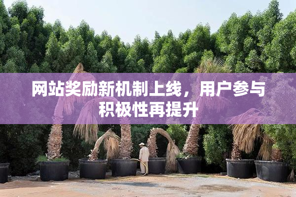 网站奖励新机制上线，用户参与积极性再提升