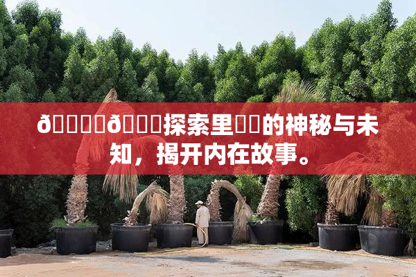 🔞‌🍌探索里❌‌的神秘与未知，揭开内在故事。