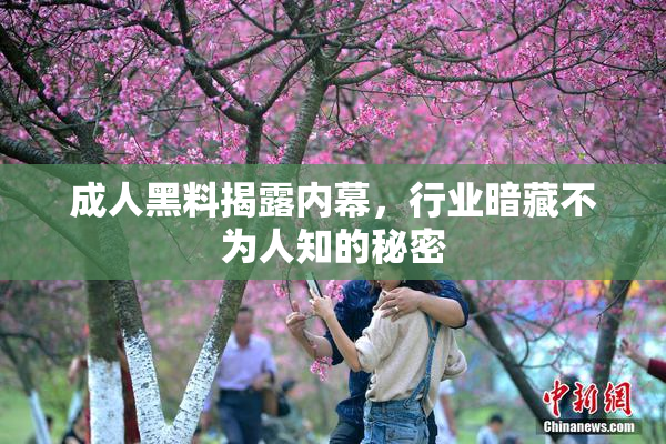 成人黑料揭露内幕，行业暗藏不为人知的秘密