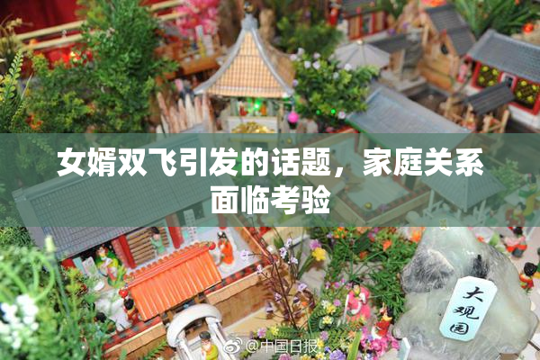 女婿双飞引发的话题，家庭关系面临考验