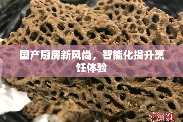 国产厨房新风尚，智能化提升烹饪体验