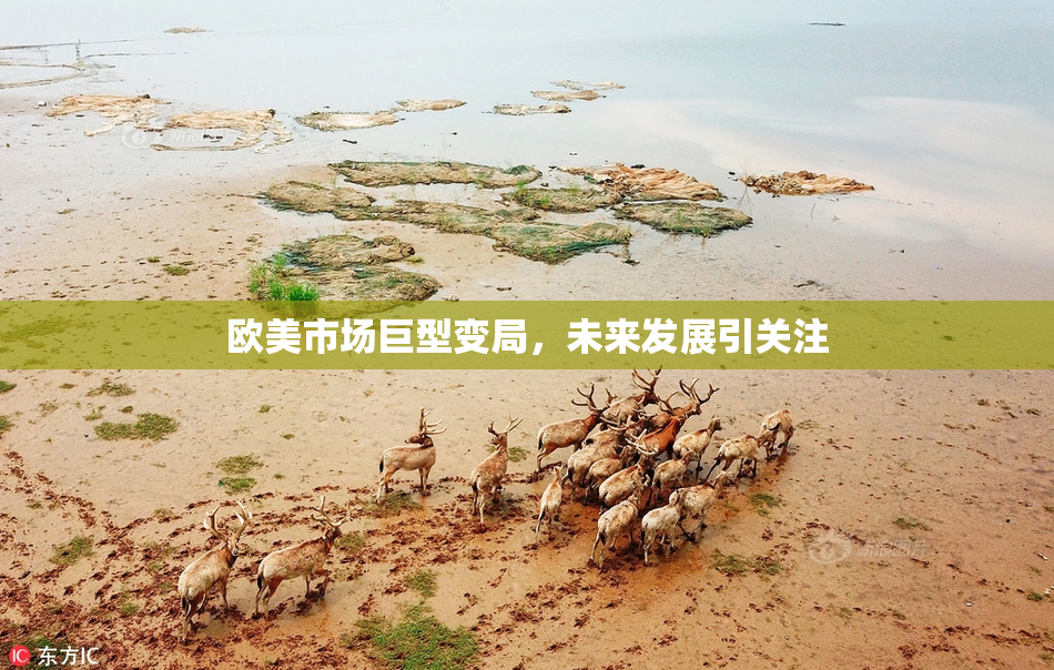 欧美市场巨型变局，未来发展引关注