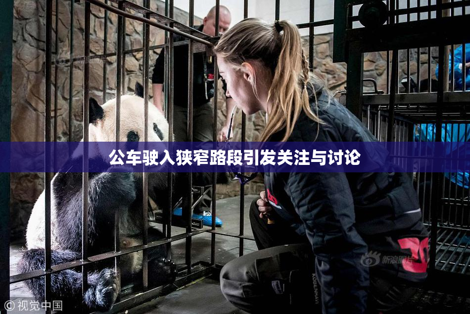 公车驶入狭窄路段引发关注与讨论