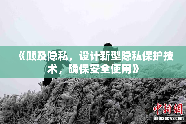 《顾及隐私，设计新型隐私保护技术，确保安全使用》