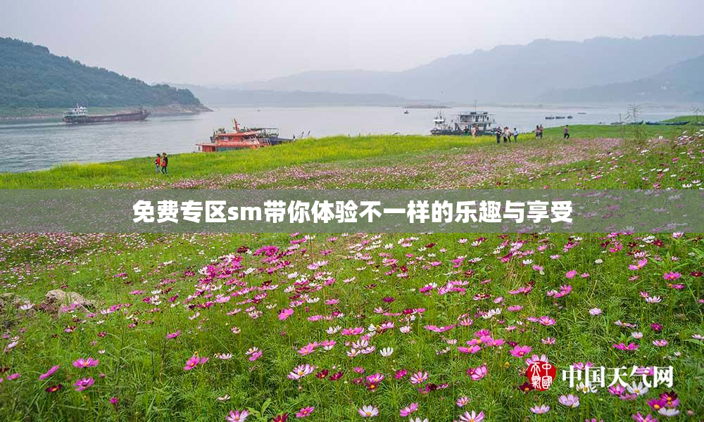 免费专区sm带你体验不一样的乐趣与享受