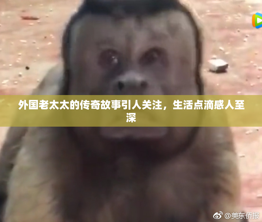 外国老太太的传奇故事引人关注，生活点滴感人至深