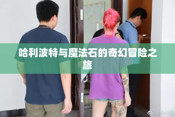 哈利波特与魔法石的奇幻冒险之旅