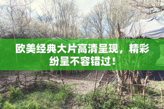 欧美经典大片高清呈现，精彩纷呈不容错过！