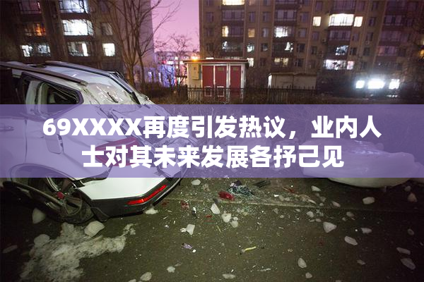 69XXXX再度引发热议，业内人士对其未来发展各抒己见