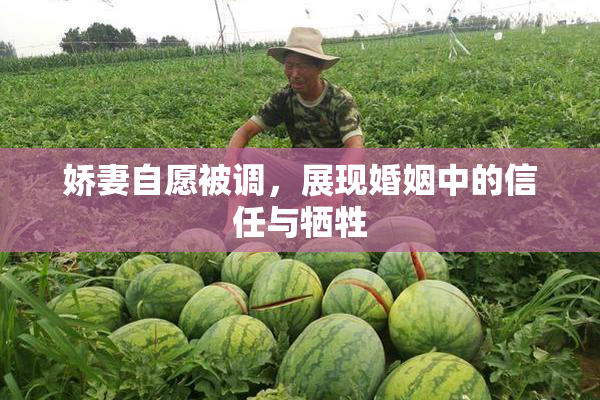 娇妻自愿被调，展现婚姻中的信任与牺牲