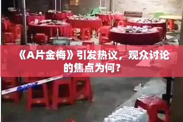 《A片金梅》引发热议，观众讨论的焦点为何？