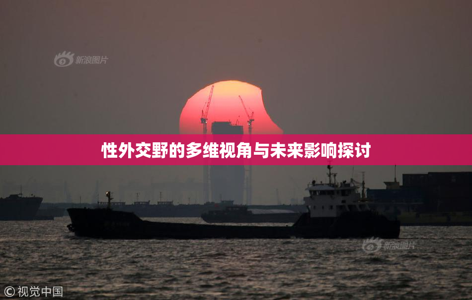 性外交野的多维视角与未来影响探讨