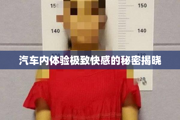 汽车内体验极致快感的秘密揭晓