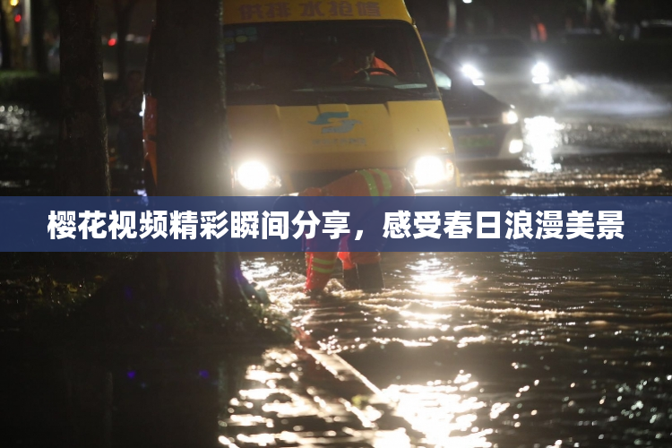 樱花视频精彩瞬间分享，感受春日浪漫美景