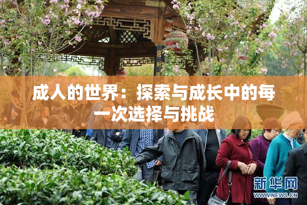 成人的世界：探索与成长中的每一次选择与挑战