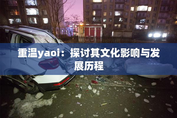 重温yaoi：探讨其文化影响与发展历程